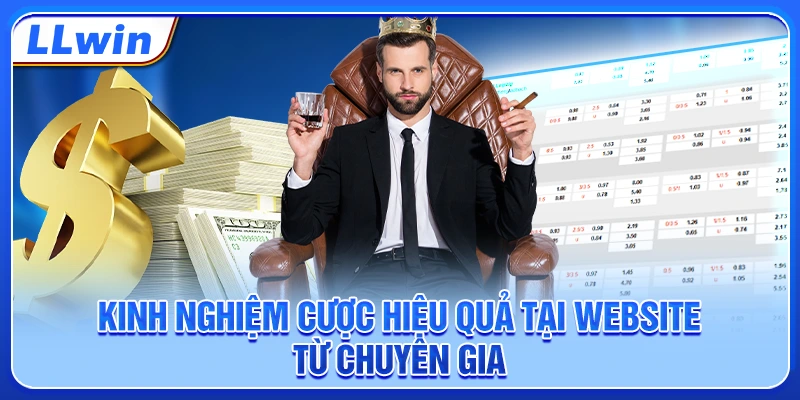Kinh nghiệm cược hiệu quả tại website từ chuyên gia