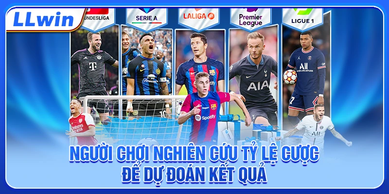 Người chơi nghiên cứu tỷ lệ cược để dự đoán kết quả