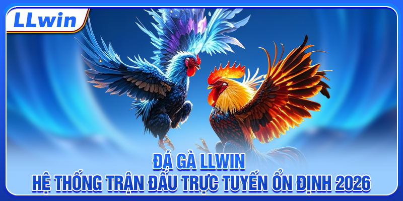Đá Gà LLWIN - Hệ Thống Trận Đấu Trực Tuyến Ổn Định 2026